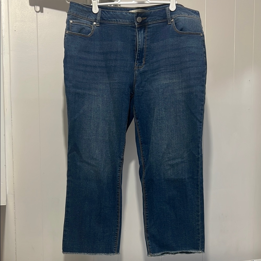 Cato Mid-Rise Blue Denim Jeans